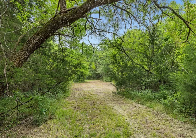 Photo 1 of Land for sale at 3797 County Rd 328, Caldwell, TX 77836 | MLS# 83352367 | Listing updated on 2026-06-05