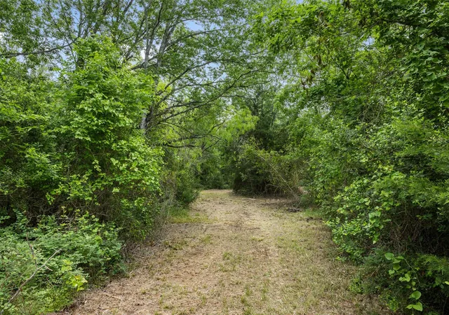 Photo 2 of Land for sale at 3797 County Rd 328, Caldwell, TX 77836 | MLS# 83352367 | Listing updated on 2026-06-05
