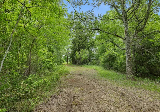Photo 3 of Land for sale at 3797 County Rd 328, Caldwell, TX 77836 | MLS# 83352367 | Listing updated on 2026-06-05