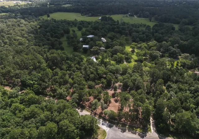 Photo 2 of Land for sale at 11041 Fm 1774, Plantersville, TX 77363 | MLS# 32046459 | Listing updated on 2026-07-31