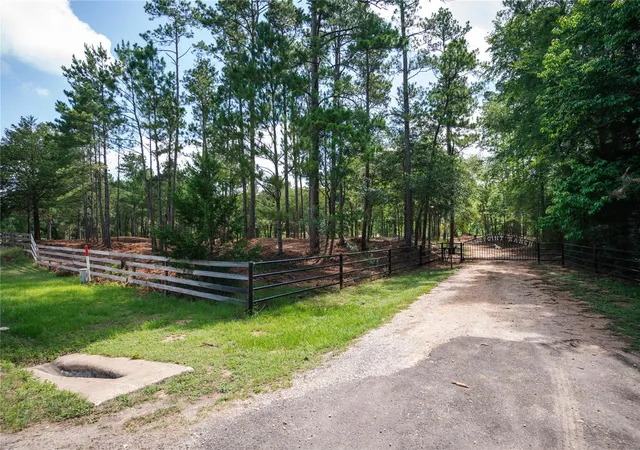 Photo 3 of Land for sale at 11041 Fm 1774, Plantersville, TX 77363 | MLS# 32046459 | Listing updated on 2026-07-31