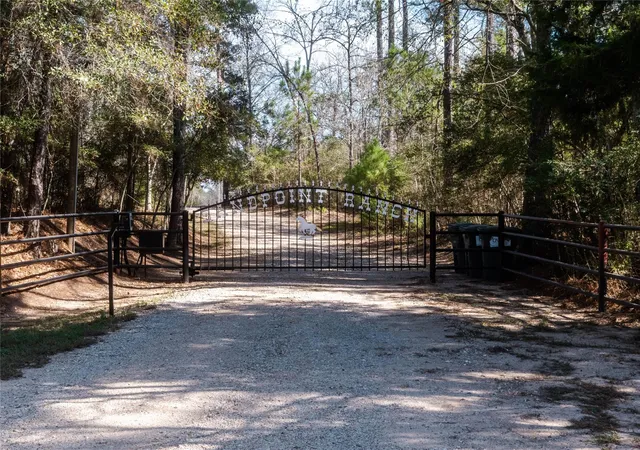 Photo 4 of Land for sale at 11041 Fm 1774, Plantersville, TX 77363 | MLS# 32046459 | Listing updated on 2026-07-31