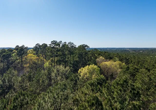 3rd image of 00 Hubert Cemetery Rd, Livingston, TX 77351 | MLS# 51513523