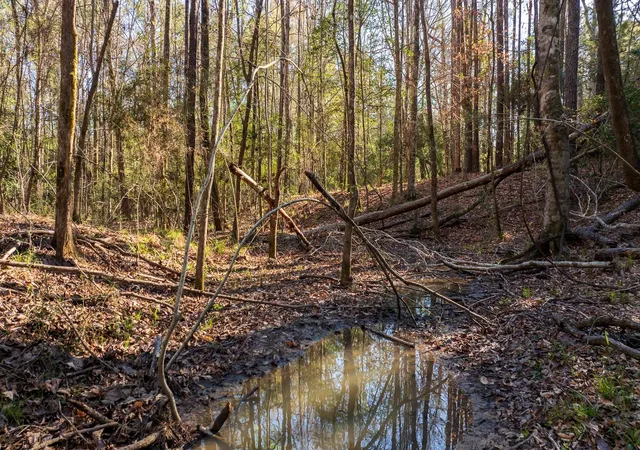 5th image of 00 Hubert Cemetery Rd, Livingston, TX 77351 | MLS# 51513523