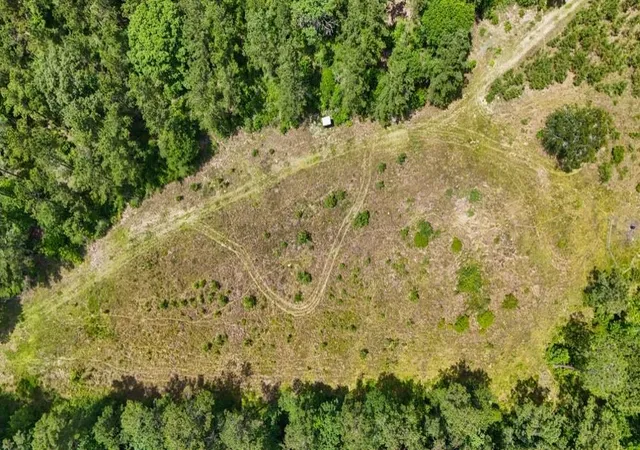 2nd image of 000 County Road 1450, Warren, TX 77664 | MLS# 36921351
