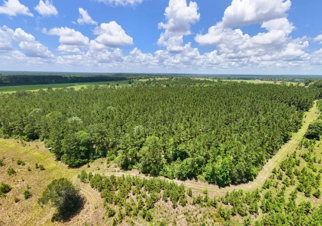 Photo 3 of Land for sale at 000 County Rd 1450, Warren, TX 77664 | MLS# 36921351 | Listing updated on 2026-07-15