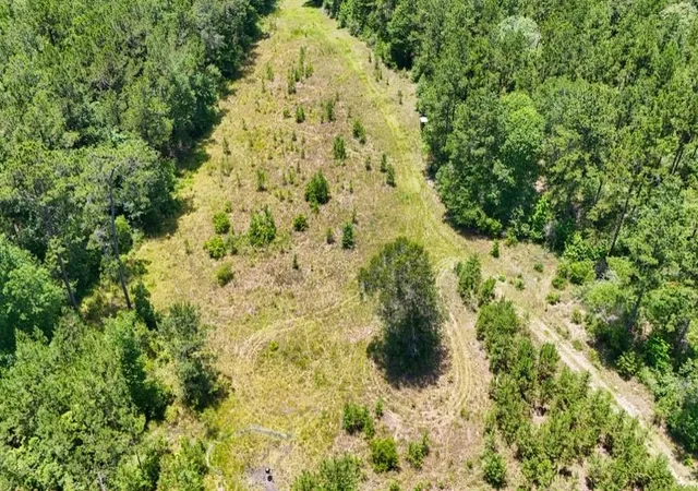 Photo 3 of Land for sale at 000 County Rd 1450, Warren, TX 77664 | MLS# 36921351 | Listing updated on 2026-07-15