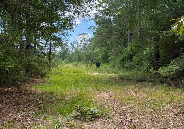 50th image of 000 County Road 1450, Warren, TX 77664 | MLS# 36921351