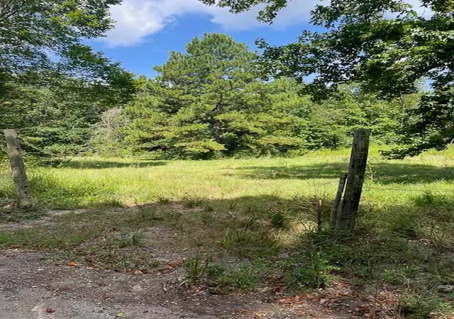 1st image of 0 Jenkins Road North, Oakhurst, TX 77359 | MLS# 76965222