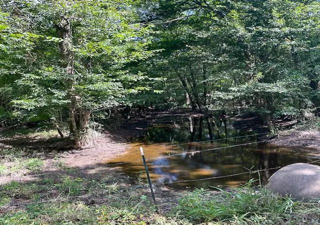 3rd image of 0 Jenkins Road North, Oakhurst, TX 77359 | MLS# 76965222