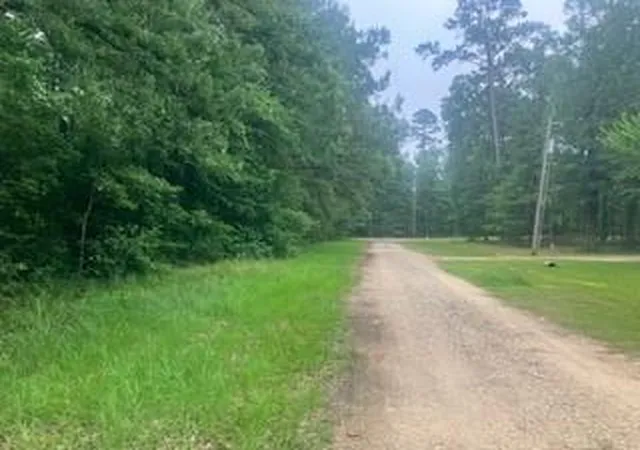 Photo 1 of Land for sale at 000 Wildwood Flower Cir, Livingston, TX 77351 | MLS# 81749421 | Listing updated on 2026-07-08