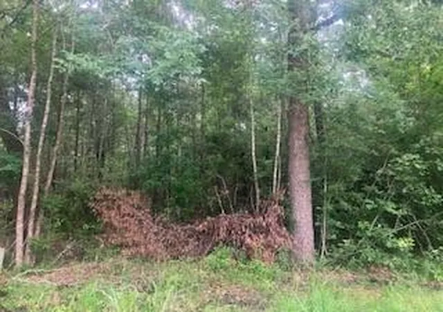 Photo 2 of Land for sale at 000 Wildwood Flower Cir, Livingston, TX 77351 | MLS# 81749421 | Listing updated on 2026-07-08