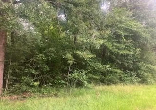 Photo 3 of Land for sale at 000 Wildwood Flower Cir, Livingston, TX 77351 | MLS# 81749421 | Listing updated on 2026-07-08