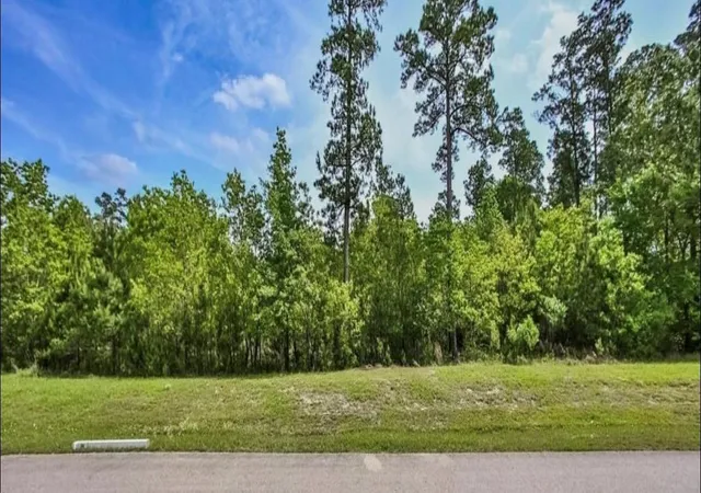 Photo 3 of Land for sale at 27588 S Lazy Meadow Way, Spring, TX 77386 | MLS# 73120103 | Listing updated on 2026-05-22