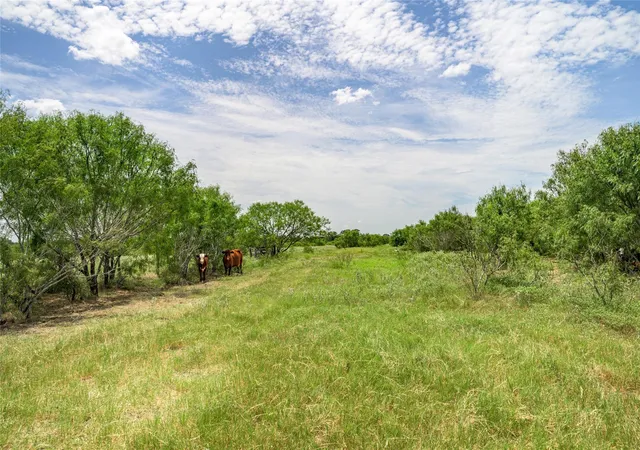 Photo 3 of Sale Pending at 6144 Fm 2237, Flatonia, TX 78941 | MLS# 90677367 | Listing updated on 2026-09-10