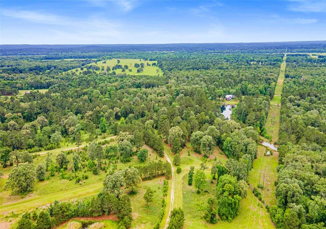 Photo 3 of Land for sale at Tbd Ben Blair Rd, Trinity, TX 75862 | MLS# 81878579 | Listing updated on 2026-08-18