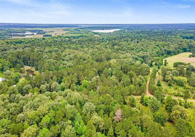 Photo 4 of Land for sale at Tbd Ben Blair Rd, Trinity, TX 75862 | MLS# 81878579 | Listing updated on 2026-08-18