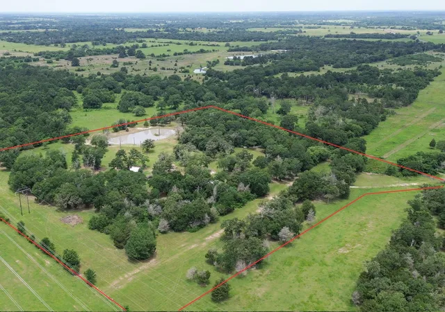 Homes for sale in Bedias, TX | 1785 Misty Hollow Ln, Bedias, TX 77831 | MLS# 93992451