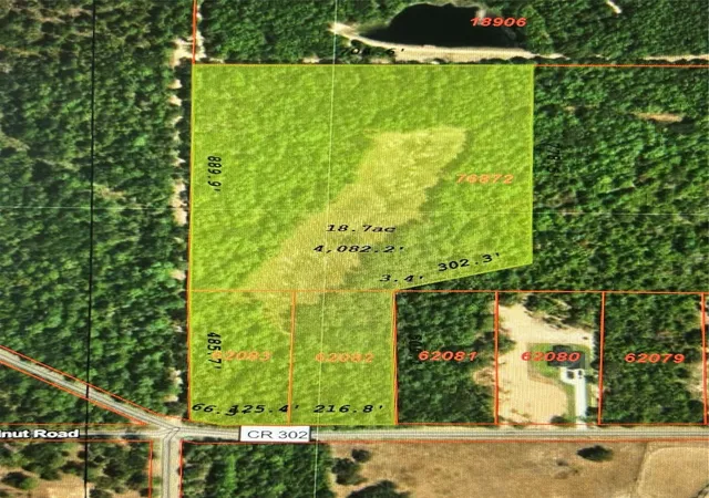 Land for sale at 000 County Rd 302, Plantersville, TX 77363 | MLS# 50418526