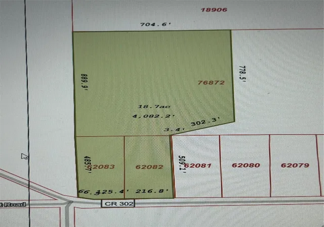 Photo 2 of Land for sale at 000 County Rd 302, Plantersville, TX 77363 | MLS# 50418526 | Listing updated on 2026-03-20