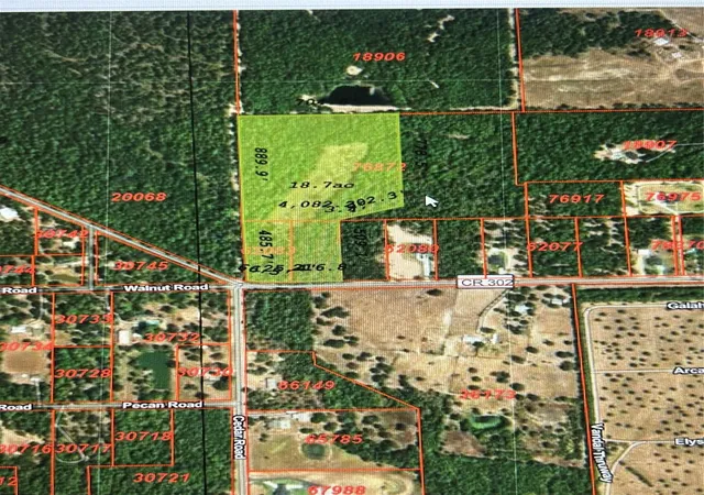 Photo 3 of Land for sale at 000 County Rd 302, Plantersville, TX 77363 | MLS# 50418526 | Listing updated on 2026-03-20