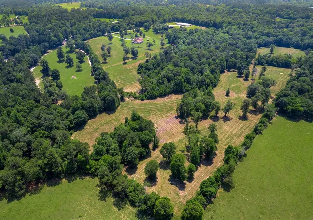 50th image of 4161 Fm 2666 Rd, Shepherd, TX 77371 | MLS# 59919169