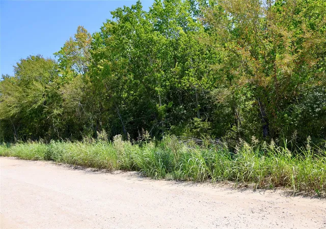 Photo 2 of Land for sale at 0 Izard Dr, Navasota, TX 77868 | MLS# 15115124 | Listing updated on 2026-08-29