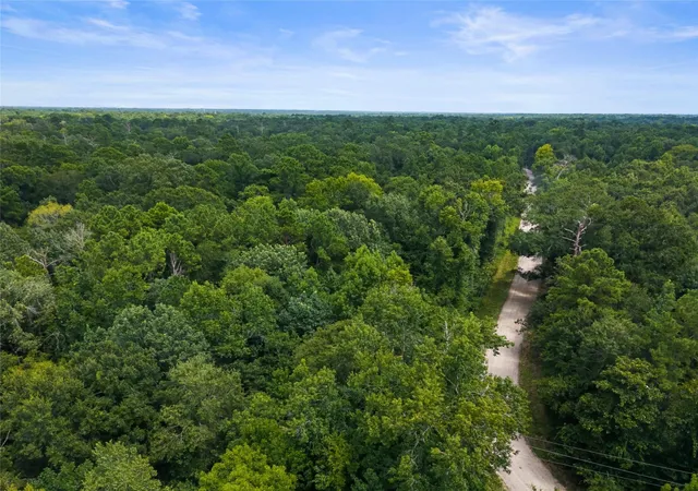 20th image of 0 N/a, Conroe, TX 77302 | MLS# 35466704