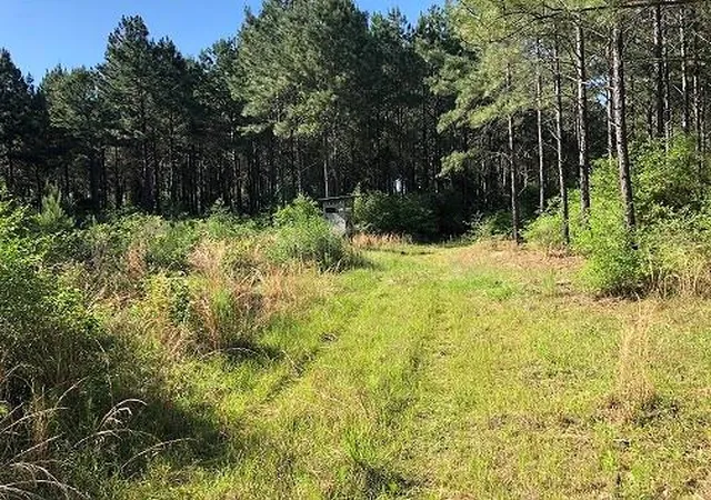 29th image of 9490 S State Hwy 19, Lovelady, TX 75851 | MLS# 26231705