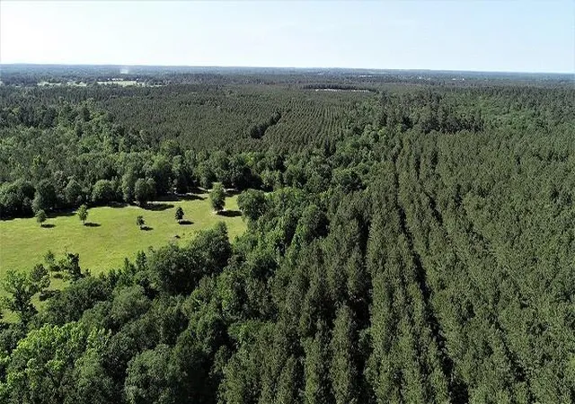 2nd image of 9490 S State Hwy 19, Lovelady, TX 75851 | MLS# 26231705