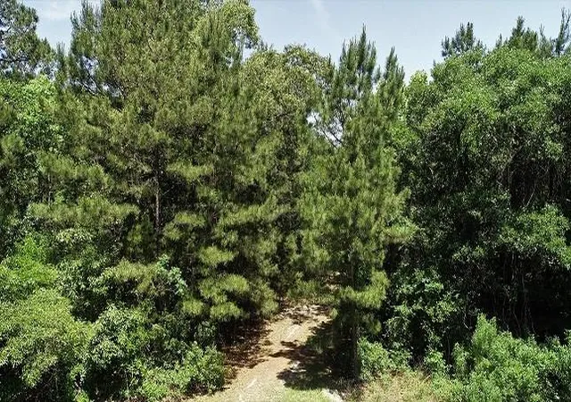 5th image of 9490 S State Hwy 19, Lovelady, TX 75851 | MLS# 26231705