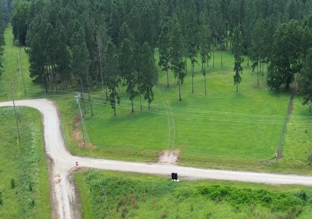 Photo 3 of Land for sale at 1320 Buckhorn Crk, Crockett, TX 75835 | MLS# 42971693 | Listing updated on 2026-07-31