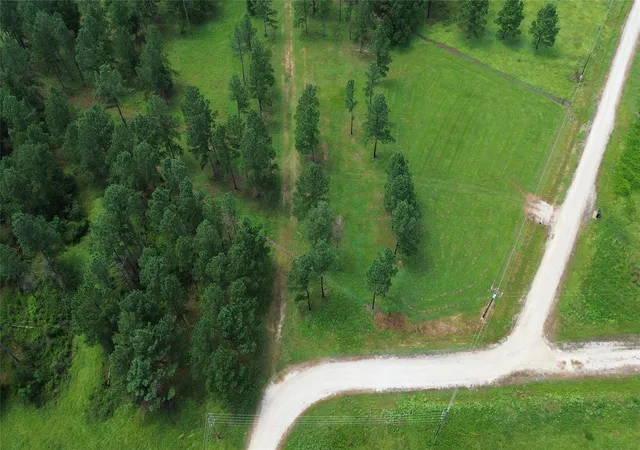 Photo 3 of Land for sale at 1320 Buckhorn Crk, Crockett, TX 75835 | MLS# 42971693 | Listing updated on 2026-07-31