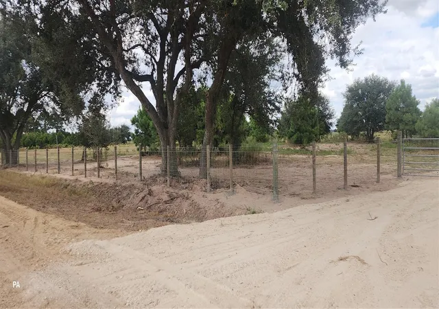 Photo 3 of Land for sale at 0000000 County Rd 264, East Bernard, TX 77435 | MLS# 95640147 | Listing updated on 2026-07-28