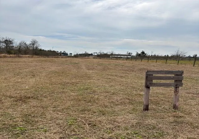 Photo 3 of Land for sale at 773 County Rd 5007, Cleveland, TX 77327 | MLS# 80971709 | Listing updated on 2026-09-02