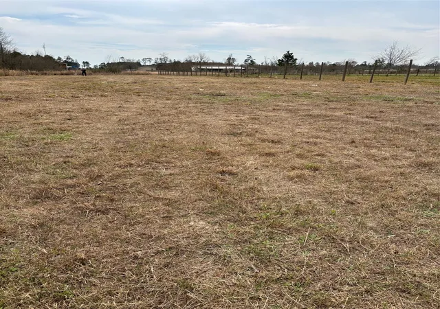 Photo 4 of Land for sale at 773 County Rd 5007, Cleveland, TX 77327 | MLS# 80971709 | Listing updated on 2026-09-02