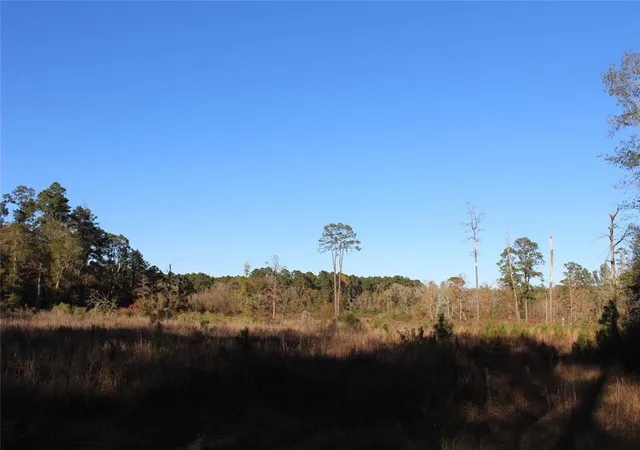 1st image of 00 Tbd Tx 150, Coldspring, TX 77331 | MLS# 85138068