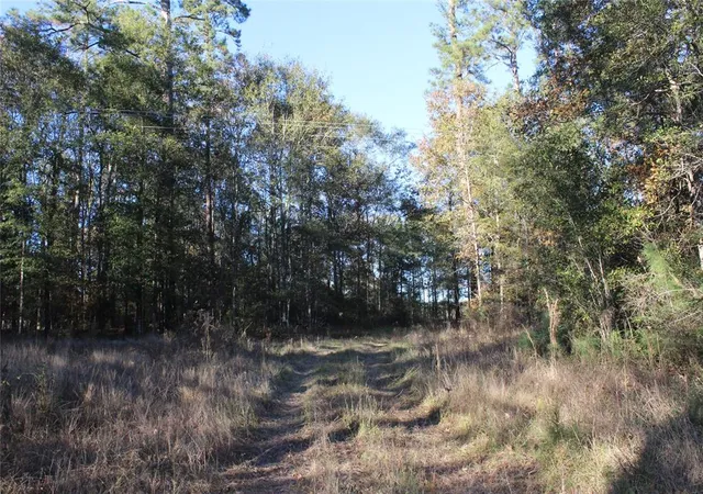 2nd image of 00 Tbd Tx 150, Coldspring, TX 77331 | MLS# 85138068