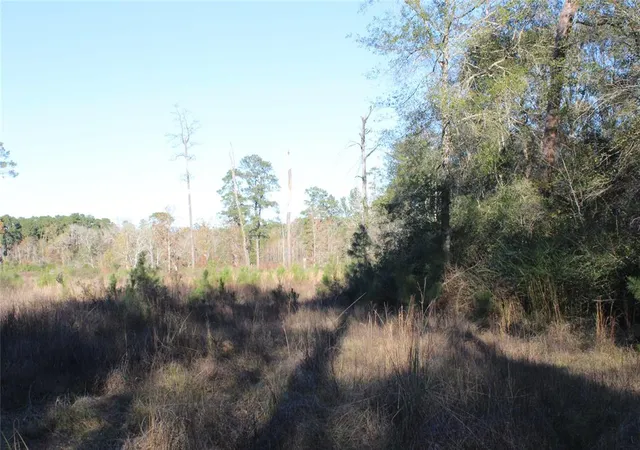 3rd image of 00 Tbd Tx-150, Coldspring, TX 77331 | MLS# 85138068