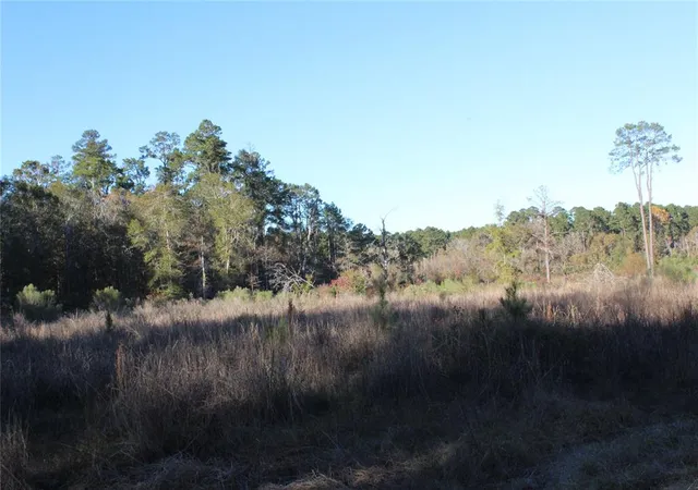 4th image of 00 Tbd Tx-150, Coldspring, TX 77331 | MLS# 85138068