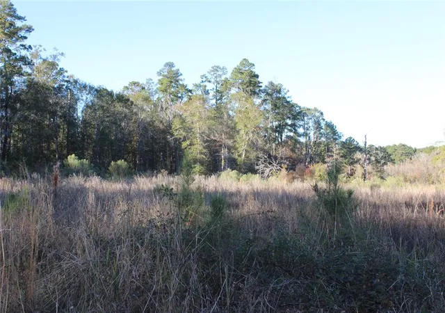5th image of 00 Tbd Tx-150, Coldspring, TX 77331 | MLS# 85138068