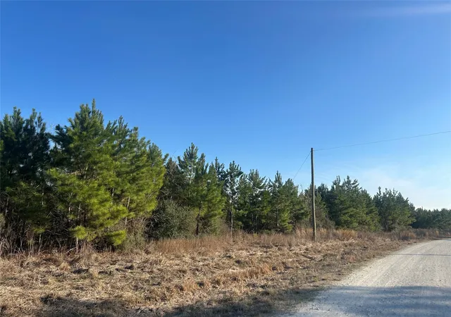 Homes for sale in Lovelady, TX | 2147 8160 Tract 36, Lovelady, TX 75851 | MLS# 75283570