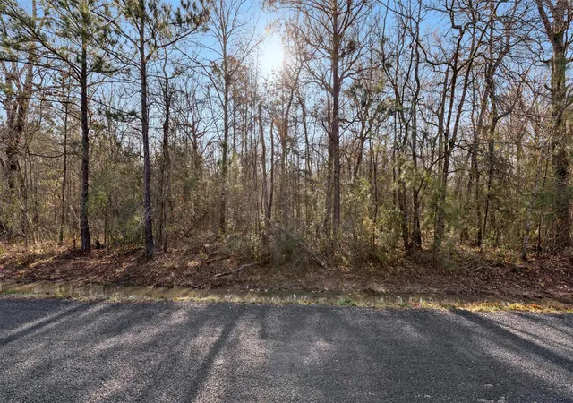 5th image of Tbd2 Rhonda Rosa Rd, Wallisville, TX 77597 | MLS# 11217735