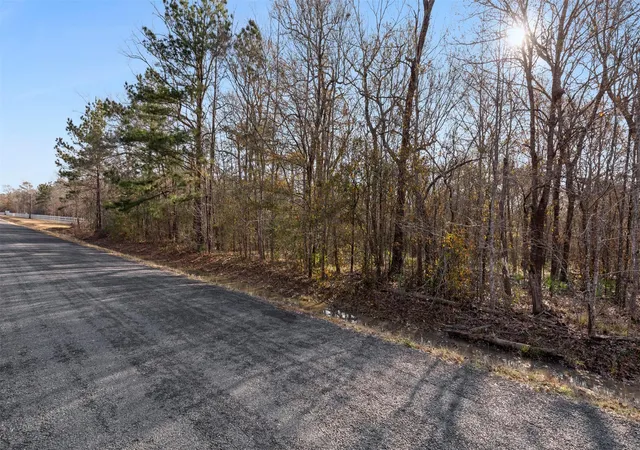 9th image of Tbd2 Rhonda Rosa Rd, Wallisville, TX 77597 | MLS# 11217735