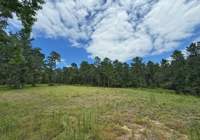 Homes for sale in Oakwood, TX | Tbd Cr 298, Oakwood, TX 75855 | MLS# 89141350