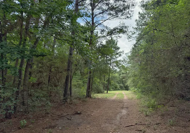 Homes for sale in Oakwood, TX | Tbd Cr 298, Oakwood, TX 75855 | MLS# 89141350