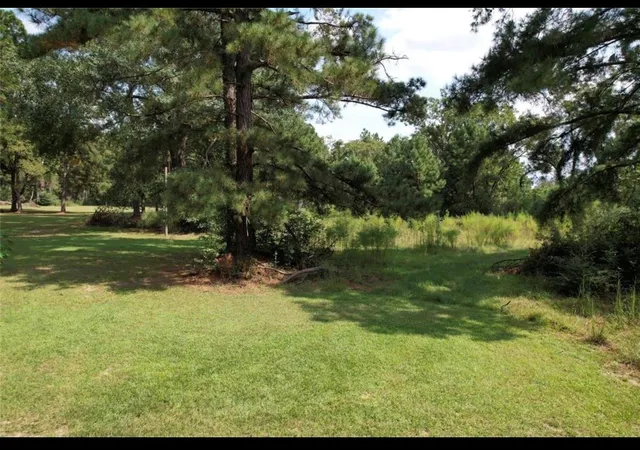 Homes for sale in Groveton, TX | 43 Ac Lacy 3 Rd, Groveton, TX 75845 | MLS# 90127507