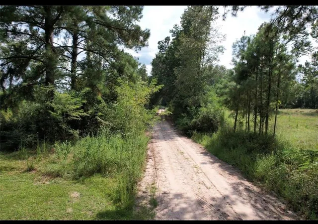 Homes for sale in Groveton, TX | 43 Ac Lacy 3 Rd, Groveton, TX 75845 | MLS# 90127507