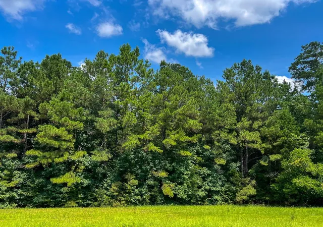 3rd image of 8 Hwy 190, Woodville, TX 75979 | MLS# 12847793