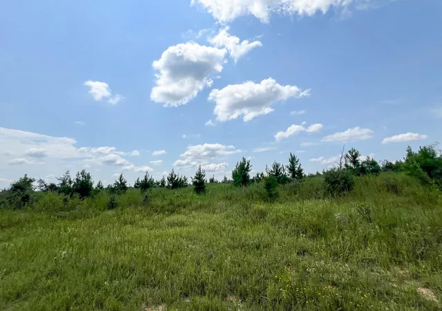 4th image of 8 Hwy 190, Woodville, TX 75979 | MLS# 12847793